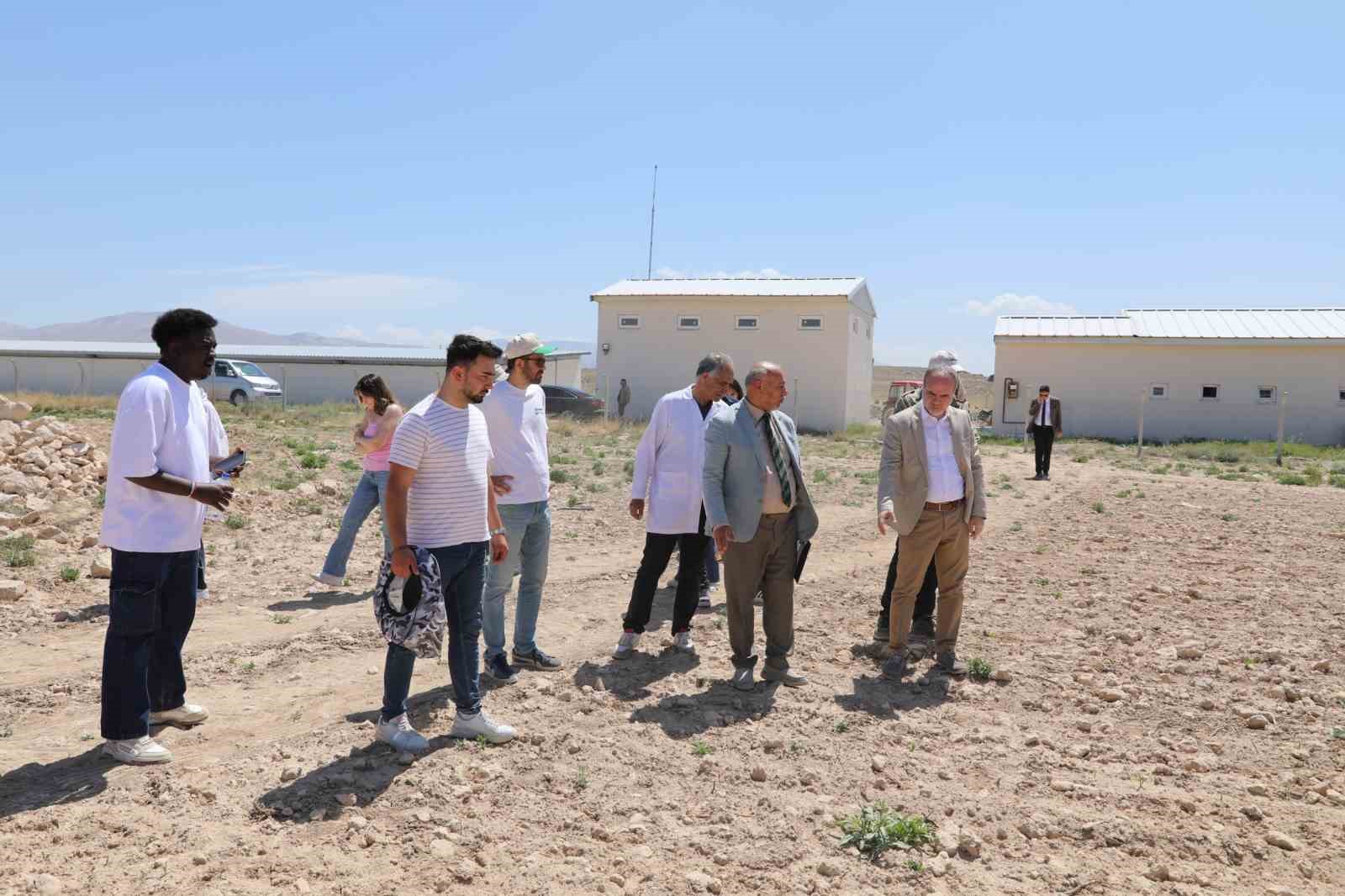NÖHÜ, Niğde bağlarını yeniden canlandırıyor
