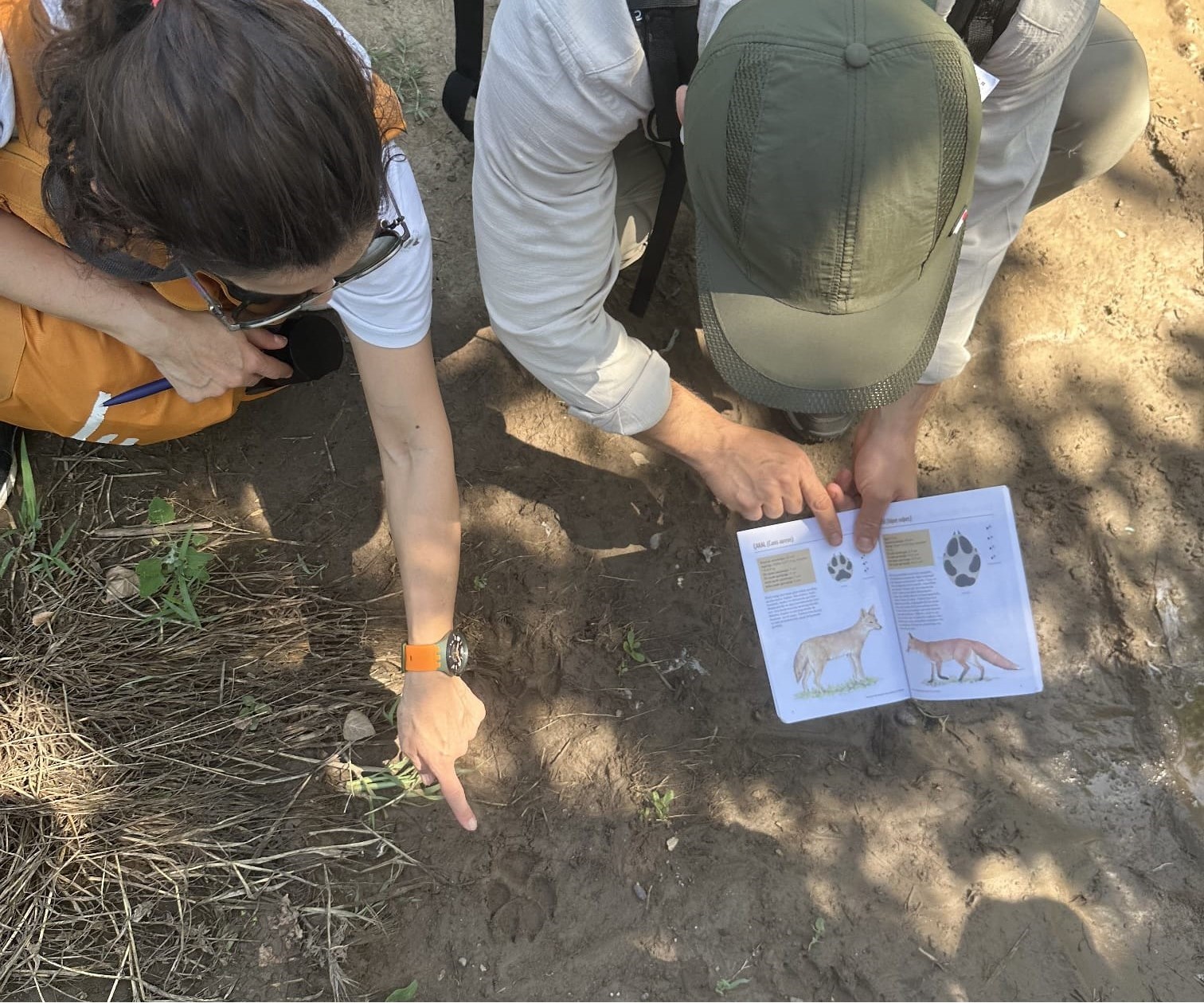 Diyarbakır’da Orman Anaokullarına Giriş Kursu düzenlendi
