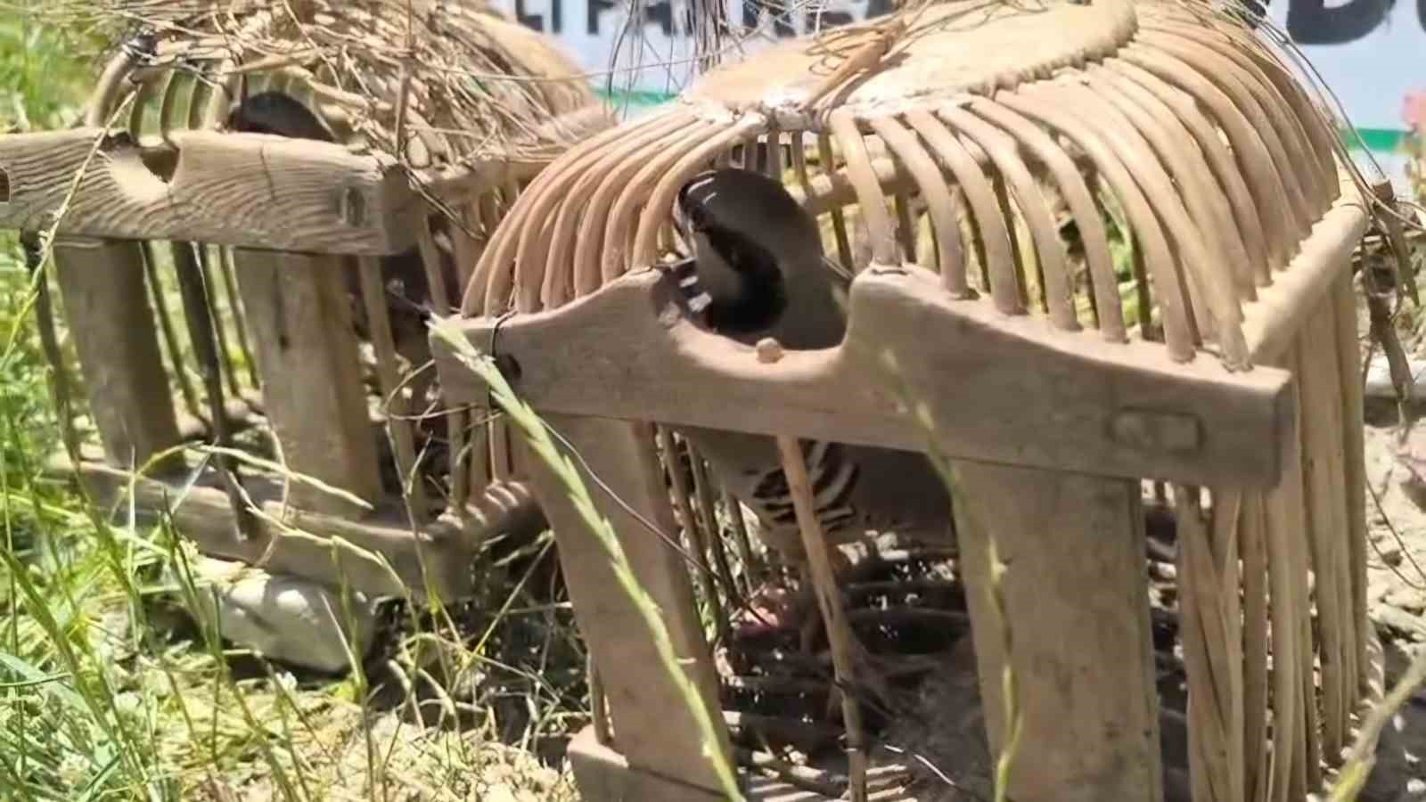 Siirt’te keklik avına 43 bin lira ceza