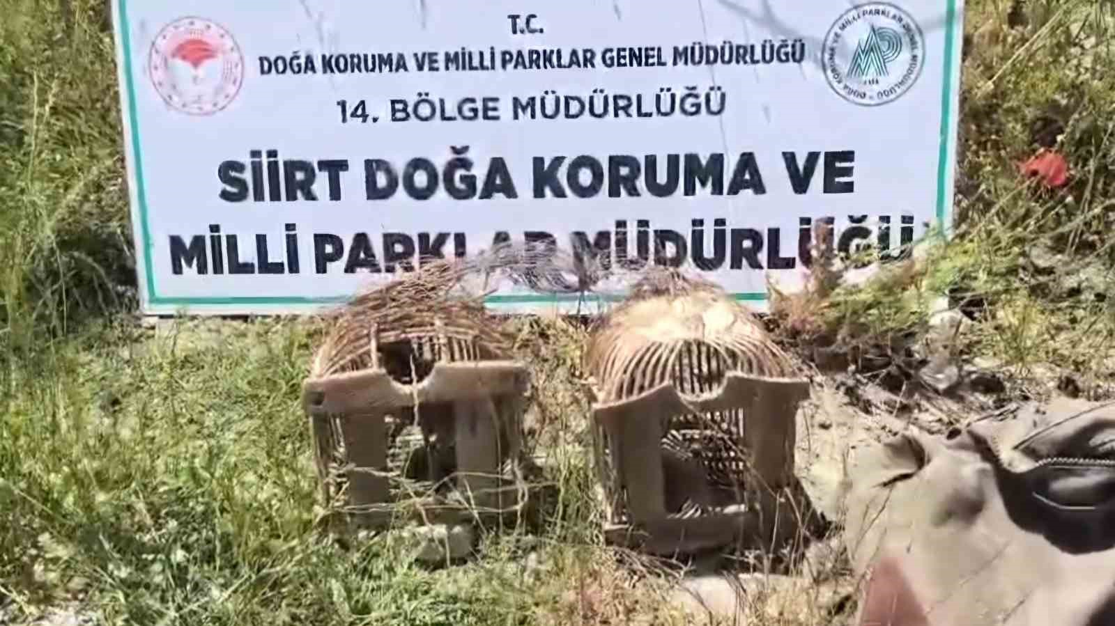 Siirt&rsquo;te keklik avına 43 bin lira ceza
