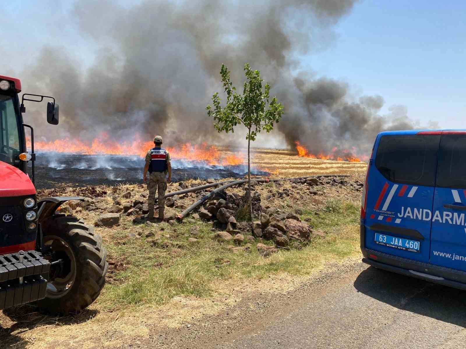 Şanlıurfa’da anız yakanlara para cezası ve adli işlem uygulanacak