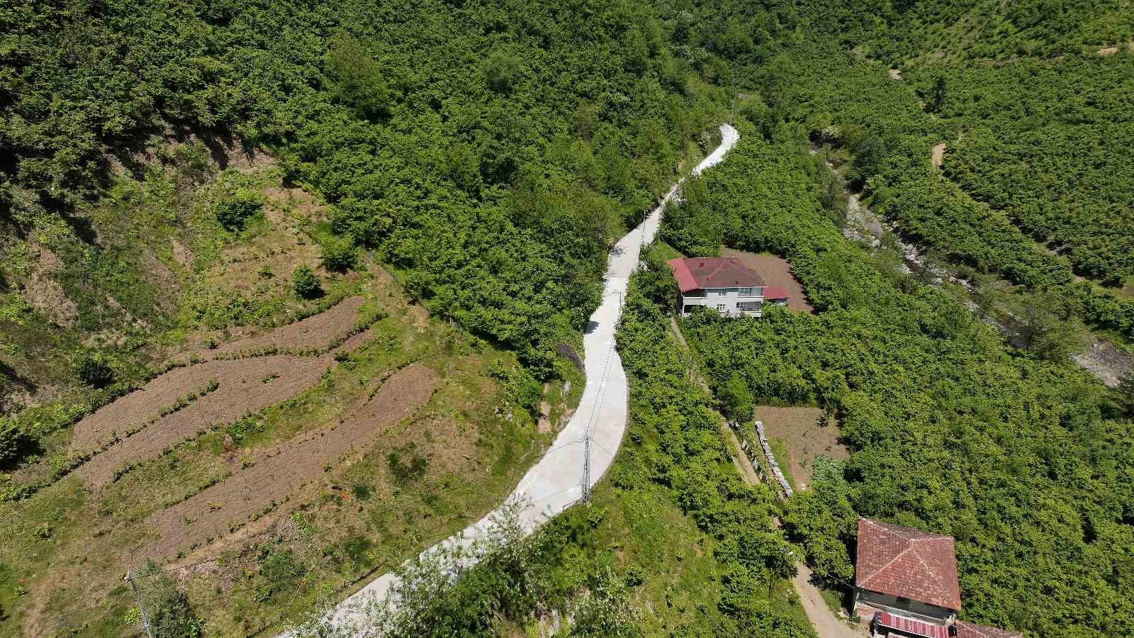 Terme’de beton yol çalışması
