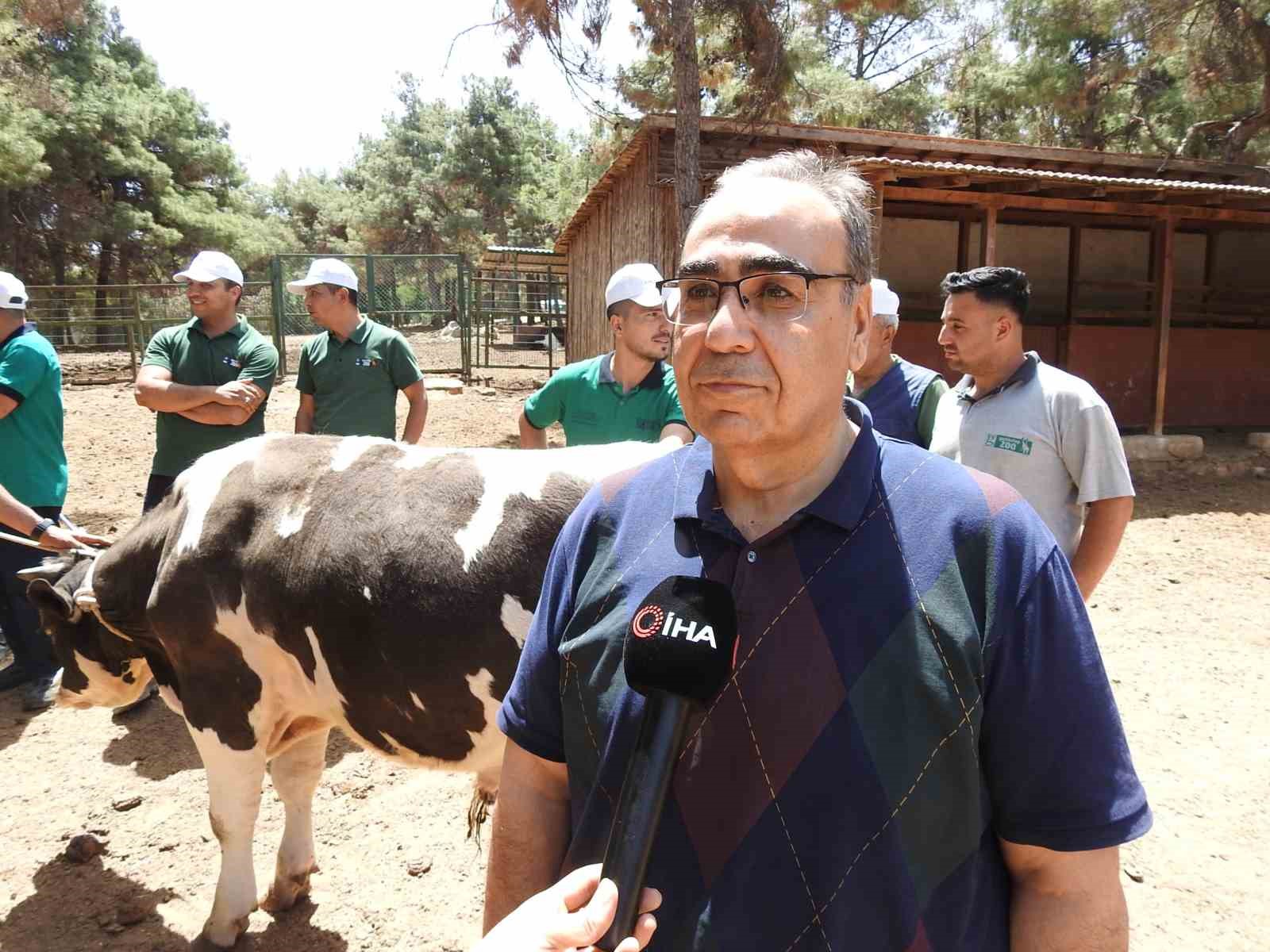 Gaziantep B&uuml;y&uuml;kşehir, kurban yakalama timi bayrama hazır

