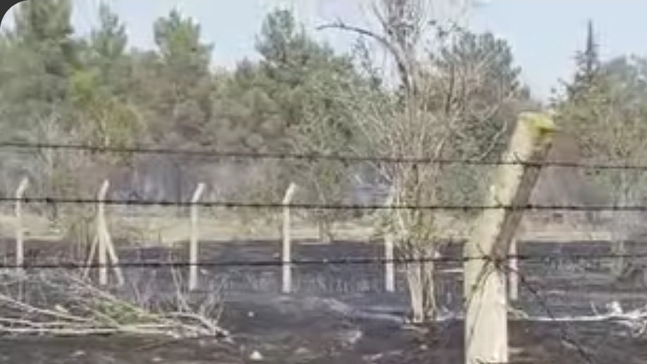 Atatürk Barajında korkutan yangın