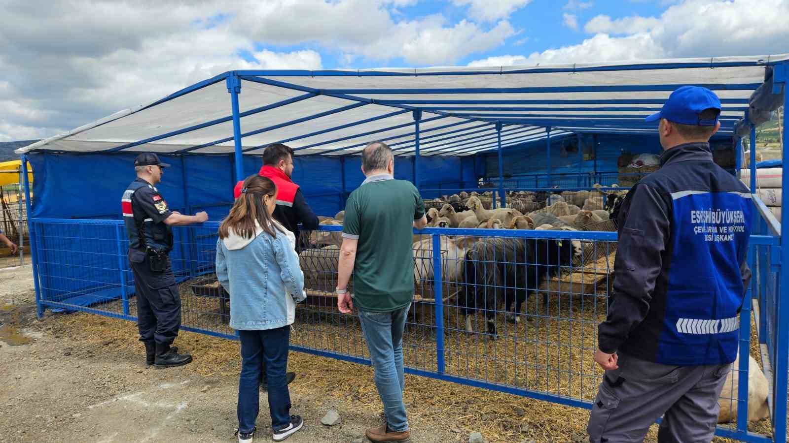 Eskişehir Kurban Satış Hayvan Pazarı’nda denetim ve kontroller