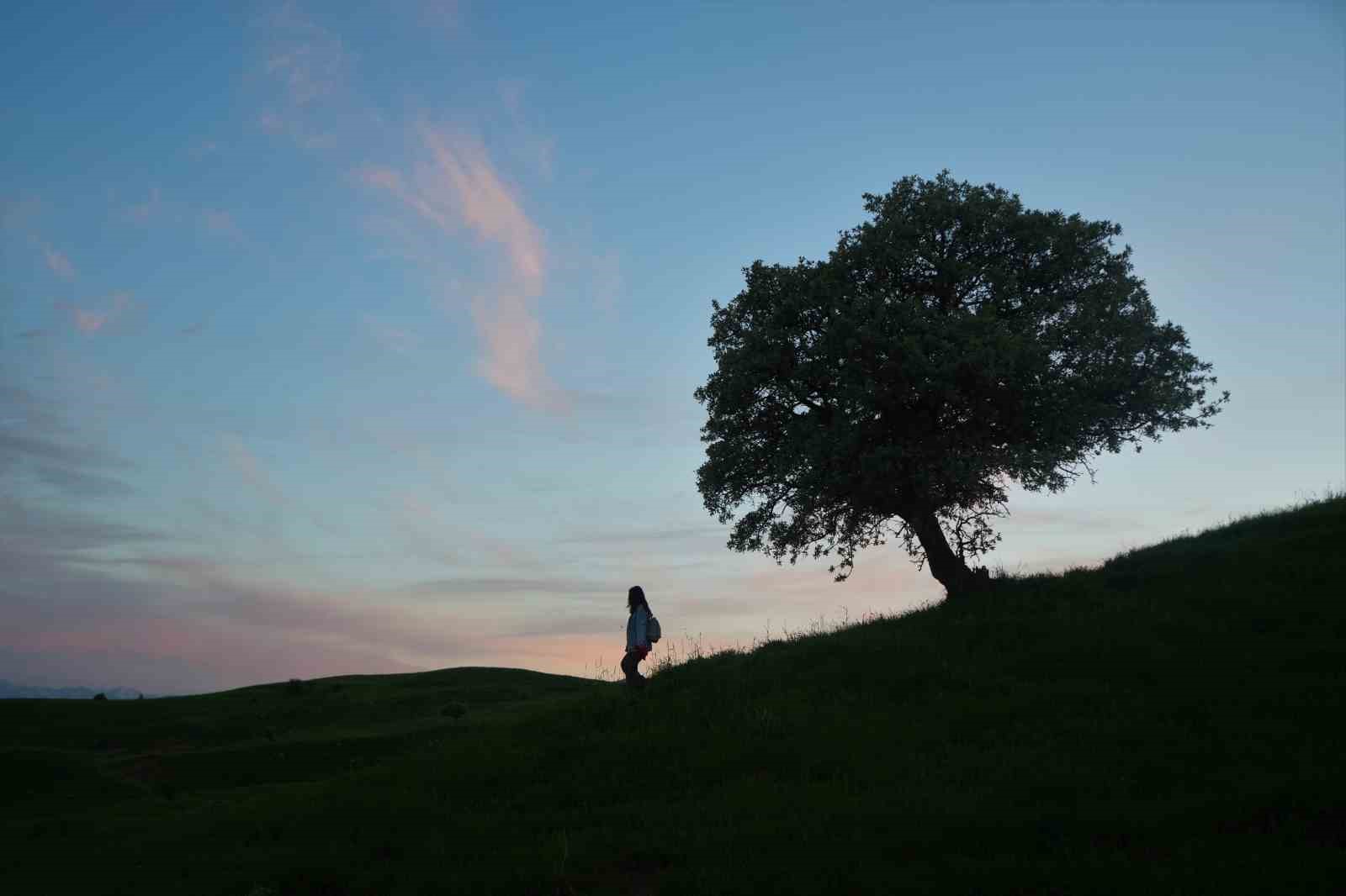 Muş&rsquo;un 110 bin ahlat ağacı g&ouml;rsel ş&ouml;len sunuyor
