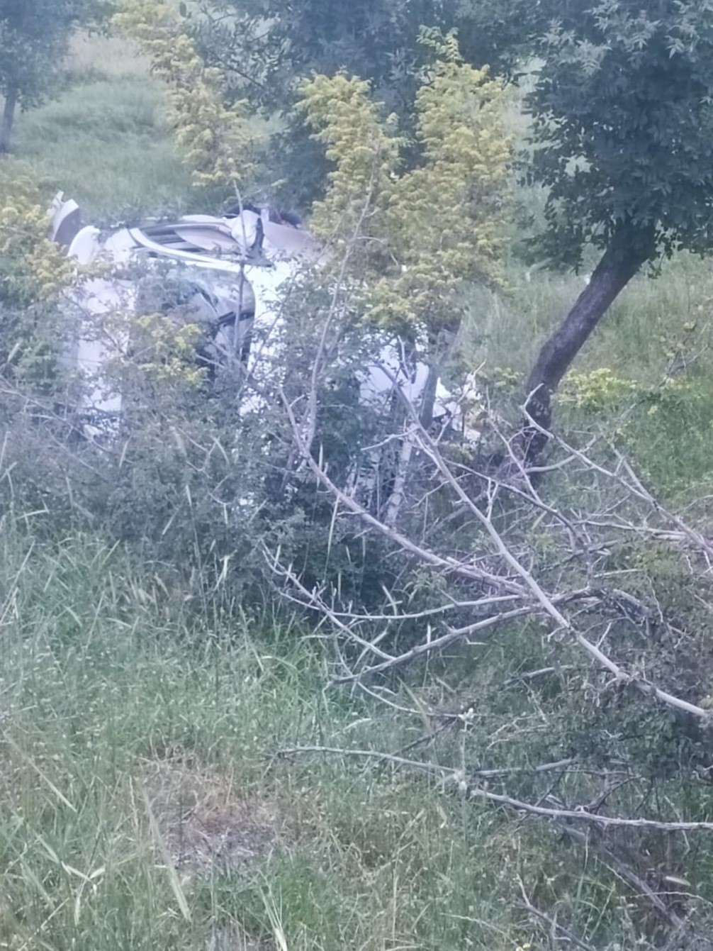 Siirt’te otomobil devrildi: 1  yaralı