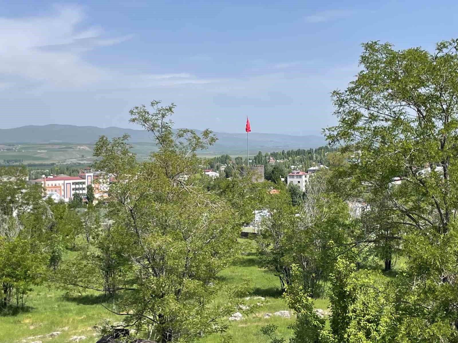 Dünyanın dört bir yanından gelen gençler Malazgirt’te buluştu

