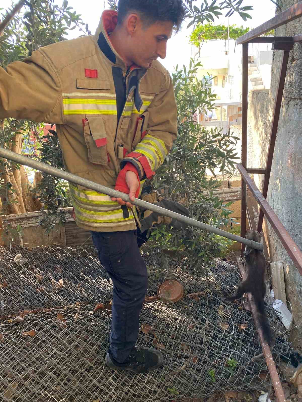 Ava giden sansar tellere takıldı