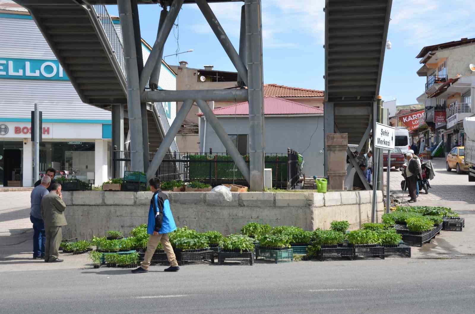 Fideleri bah&ccedil;esine ekenler kendi yetiştirip kendi yiyor
