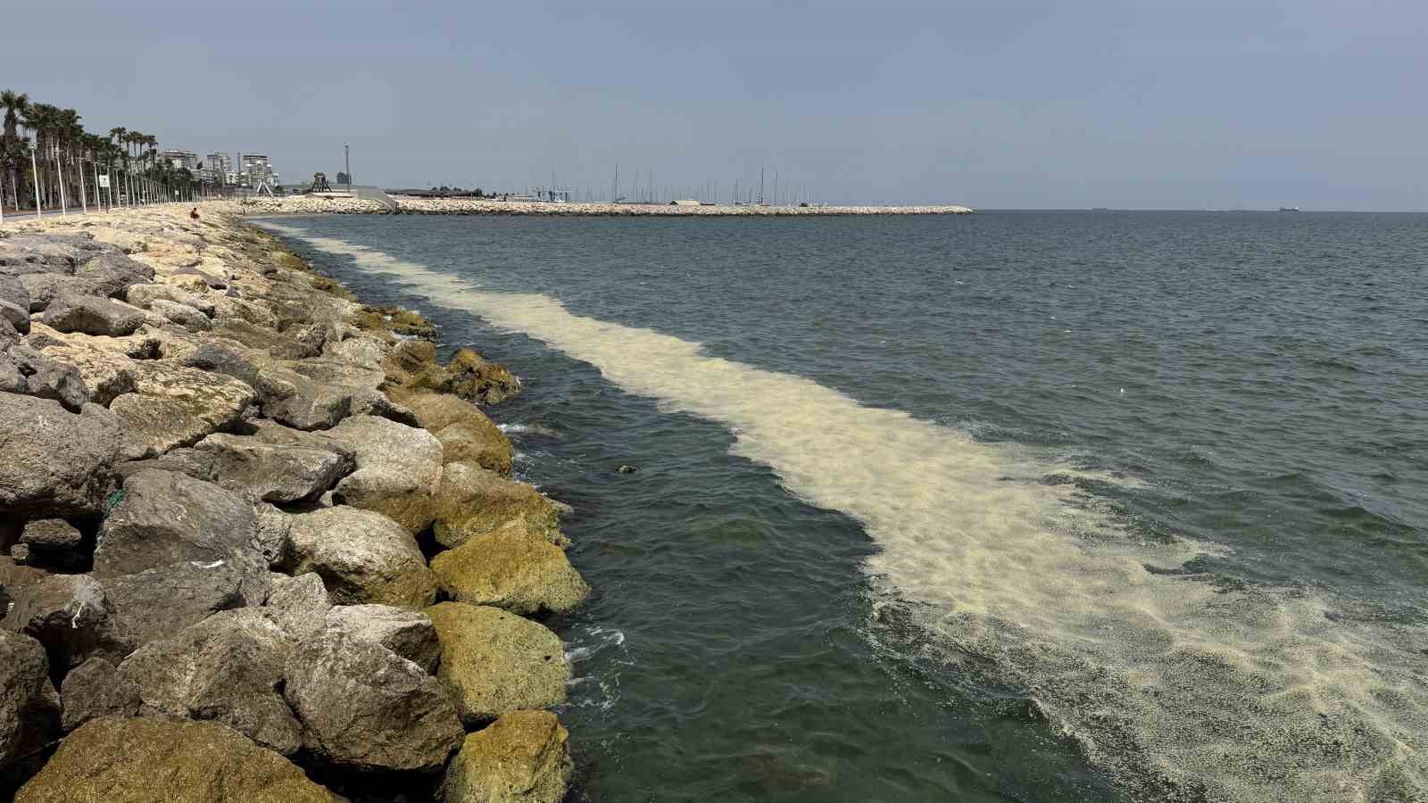 Mersin Körfezi’nde ’alg patlaması ve müsilaj kalıntıları’