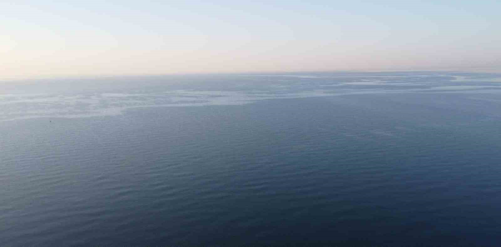 Mersin Krfezinde alg patlamas ve msilaj kalntlar
