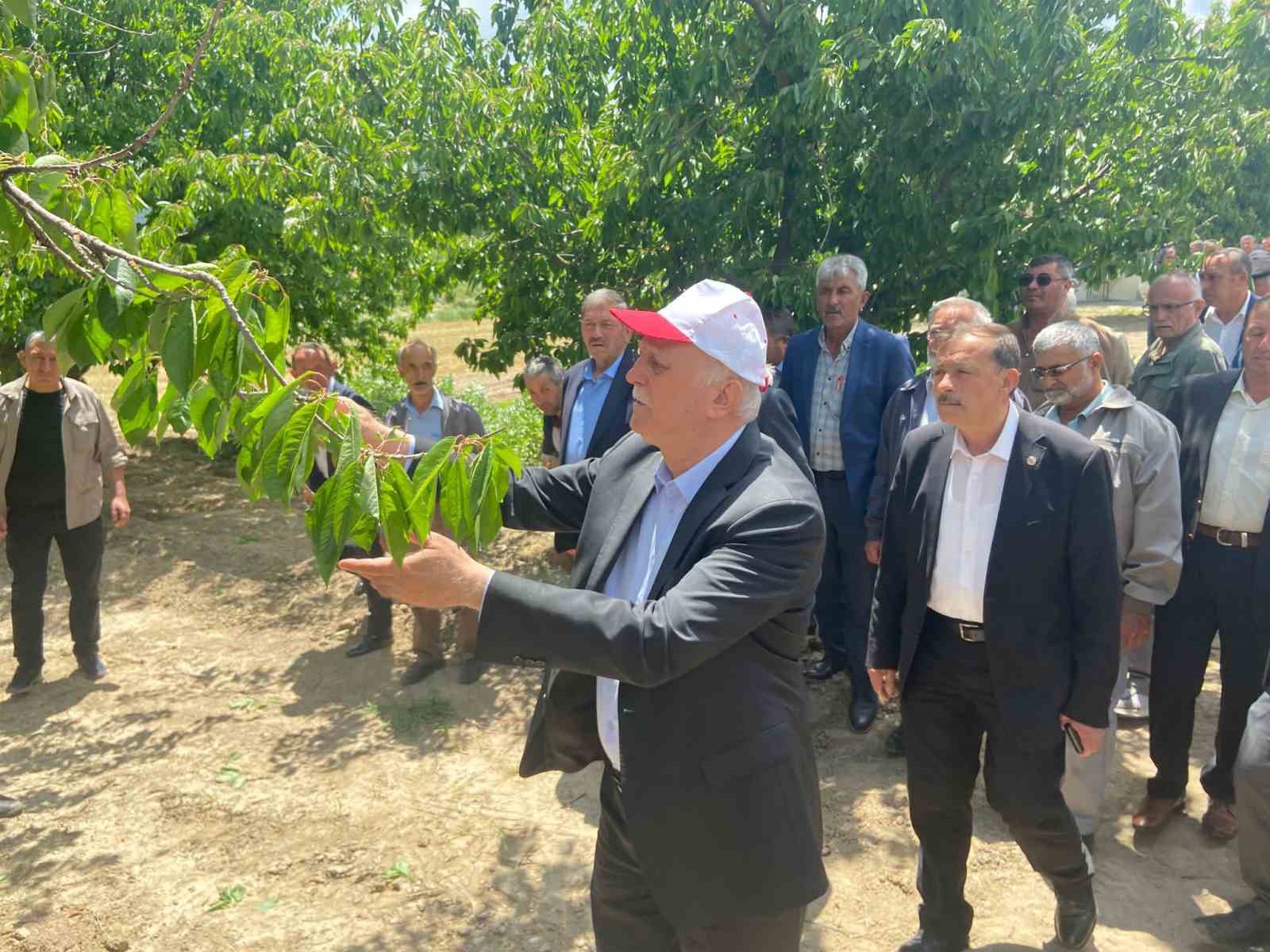 TZOB Başkanı Bayraktar: "65 vilayetimizde büyük bir zirai don felaketi ile karşı karşıya kaldık"