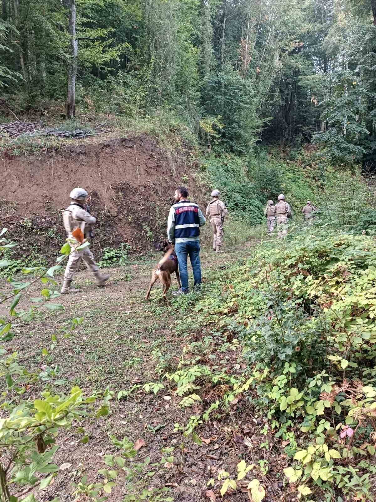 Komandolar yaylalarda didik didik arama yaptı
