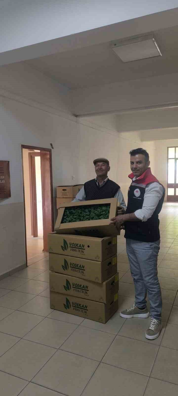 Muratlı&rsquo;da &ccedil;ift&ccedil;iye fide desteği
