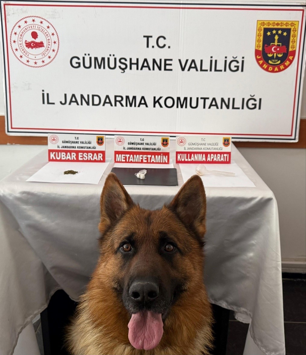 Gümüşhane’de uyuşturucu operasyonu