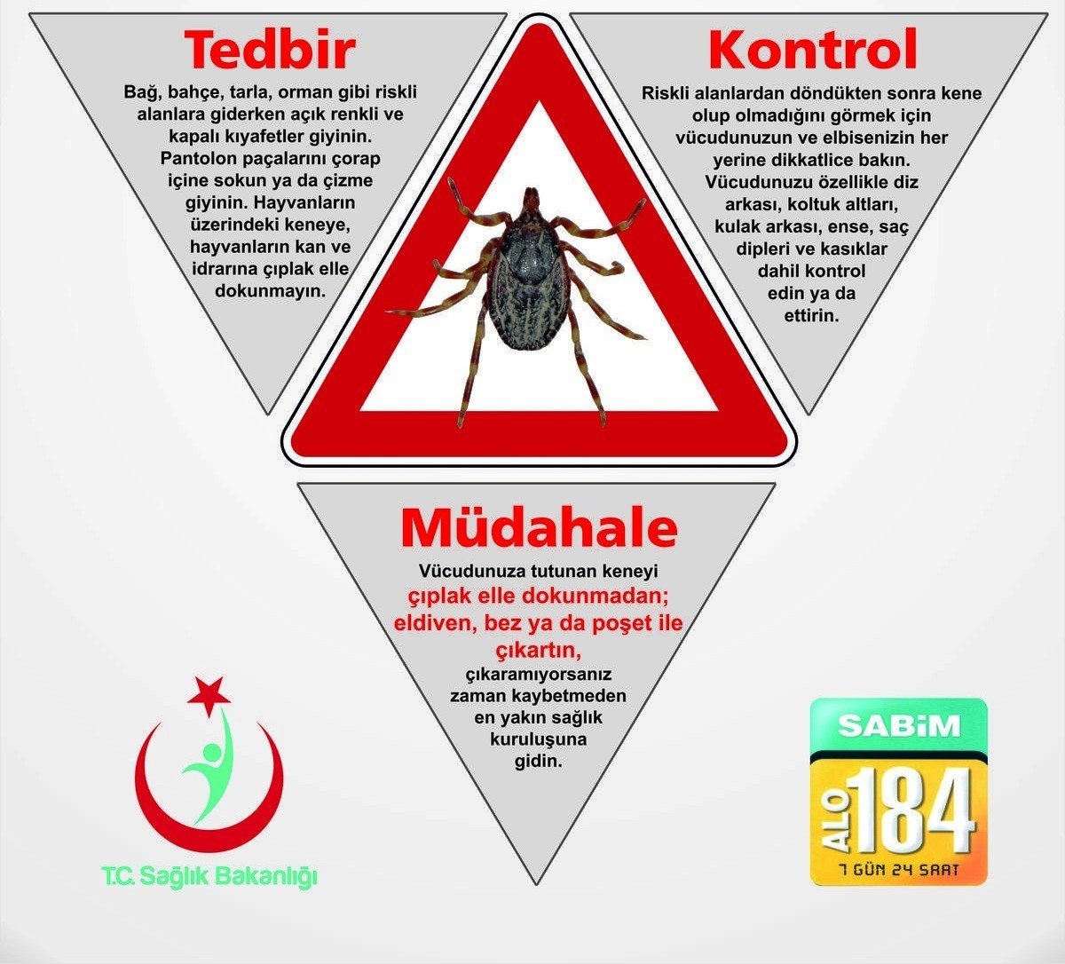 Vakaların arttığı keneye karşı alınabilecek önlemler
