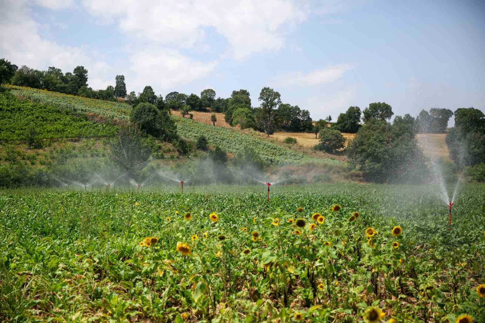 Vezirköprü Barajı’nda doluluk yüzde 80’lere ulaştı
