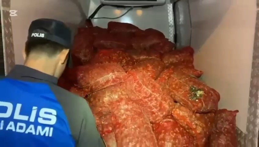 Samsun’da 2 ton 900 kilo kaçak midye ele geçirildi