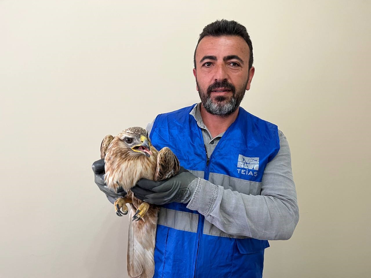 Niğde’de bitkin halde bulunan kızıl şahin koruma altına alındı