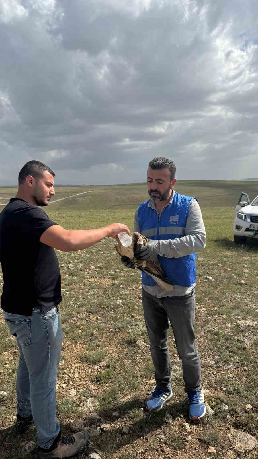 Niğde’de bitkin halde bulunan kızıl şahin koruma altına alındı
