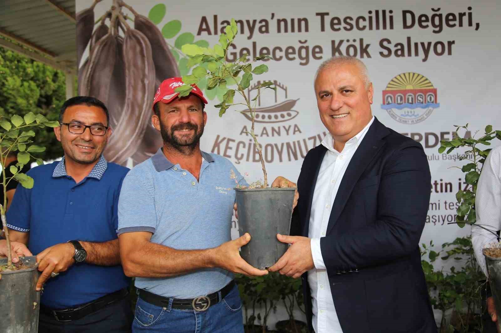 ALTSO keçiboynuzunun tescilini aldı, 3 bin fidan dağıttı
