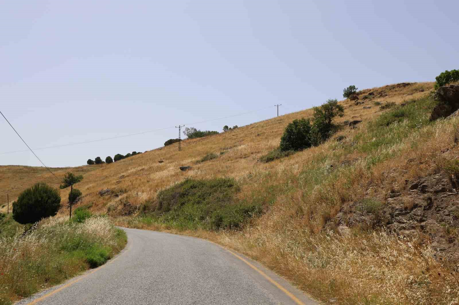 Aydın’da paylaşılamayan meralar boş kaldı, yangın tehlikesi arttı