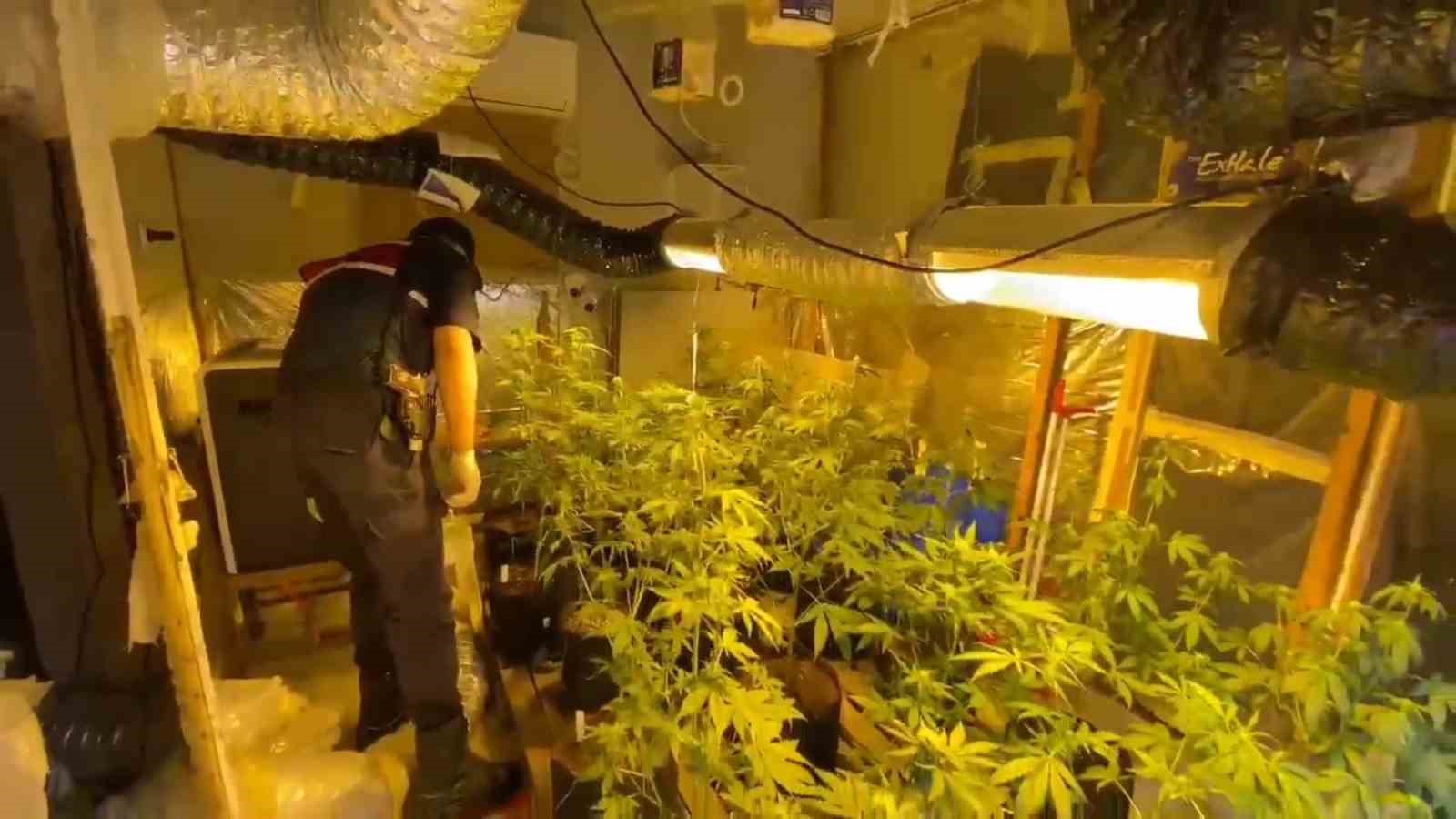 Yakalanmamak için keneviri evine ekerek tarlaya çevirmiş