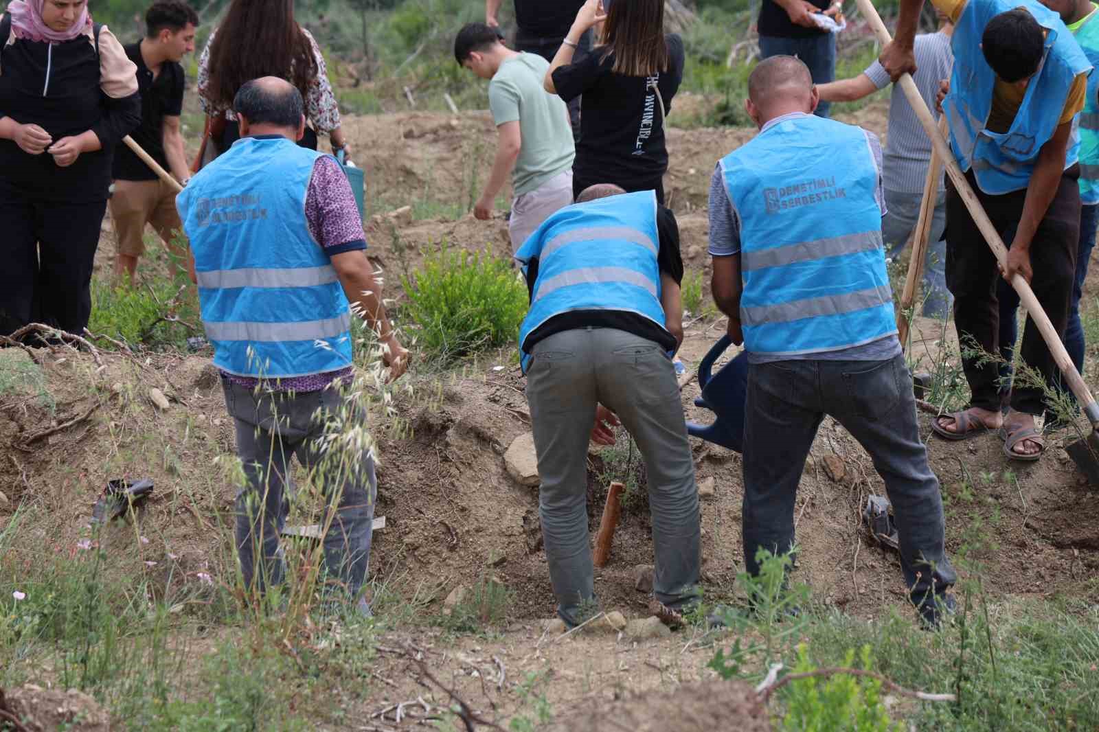 Hakim, savcı ve h&uuml;k&uuml;ml&uuml;ler yanan ormanı yeşertmek i&ccedil;in fidan dikti
