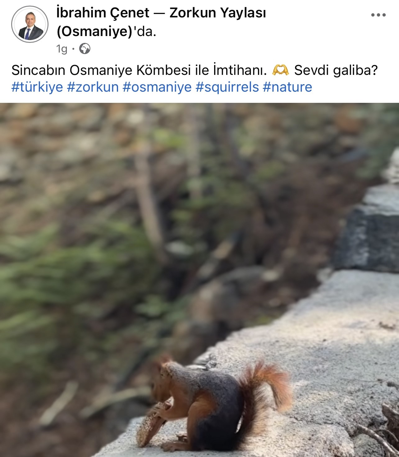 Sincabın bayram kömbesi yemesi gülümsetti