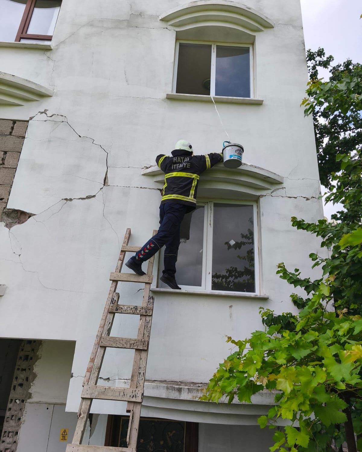 Hasarlı binada kedi kurtarma operasyonu