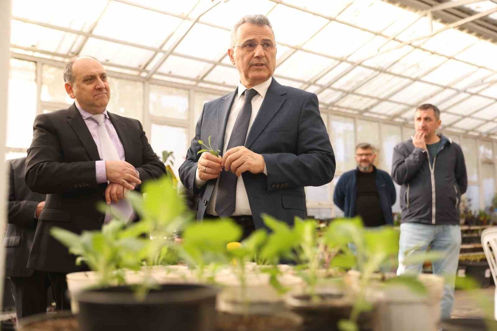 İlkadım’da aromatik bitkiler yaygınlaşıyor