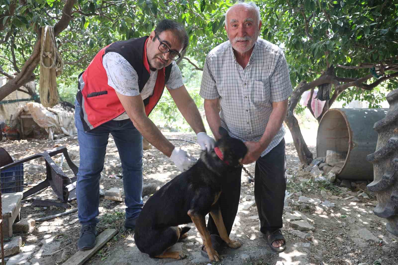 Hatay’da 4 mahallede kuduz karantinası