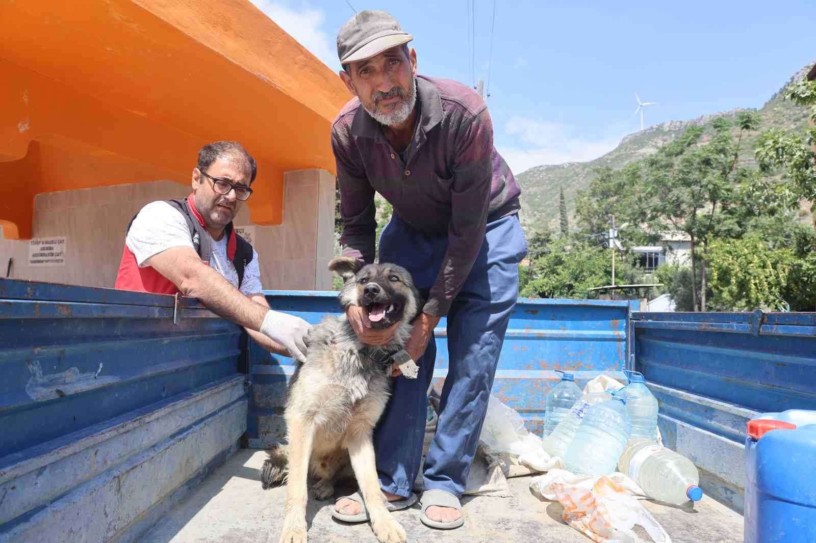 Hatay&rsquo;da 4 mahallede kuduz karantinası
