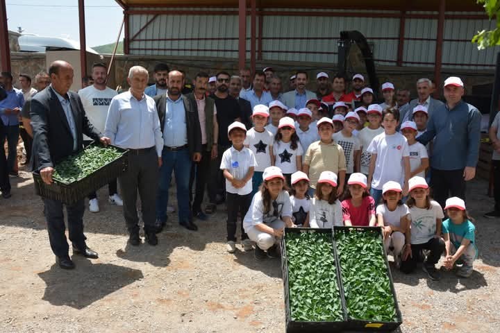 Güroymak’ta fide ve tohum dağıtımı yapıldı