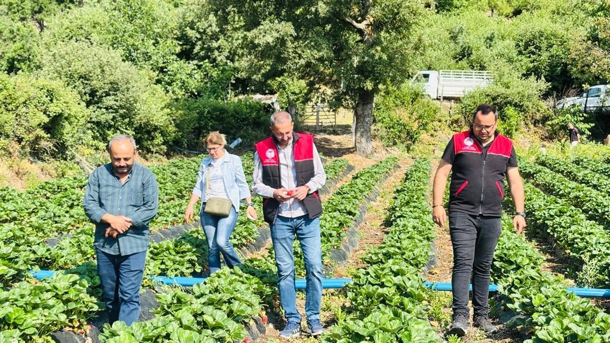 Kaymakam &Ouml;zderin, &ccedil;ilek hasadına katıldı
