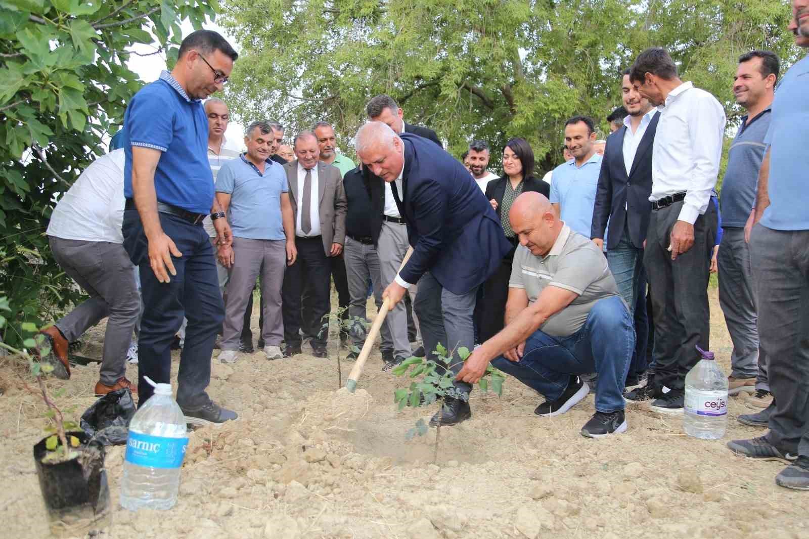 ALTSO keçiboynuzunun tescilini aldı, 3 bin fidan dağıttı