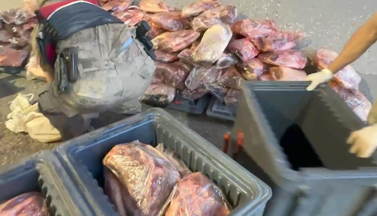 Jandarma 1 ton 700 kilo mühürsüz et ele geçirdi