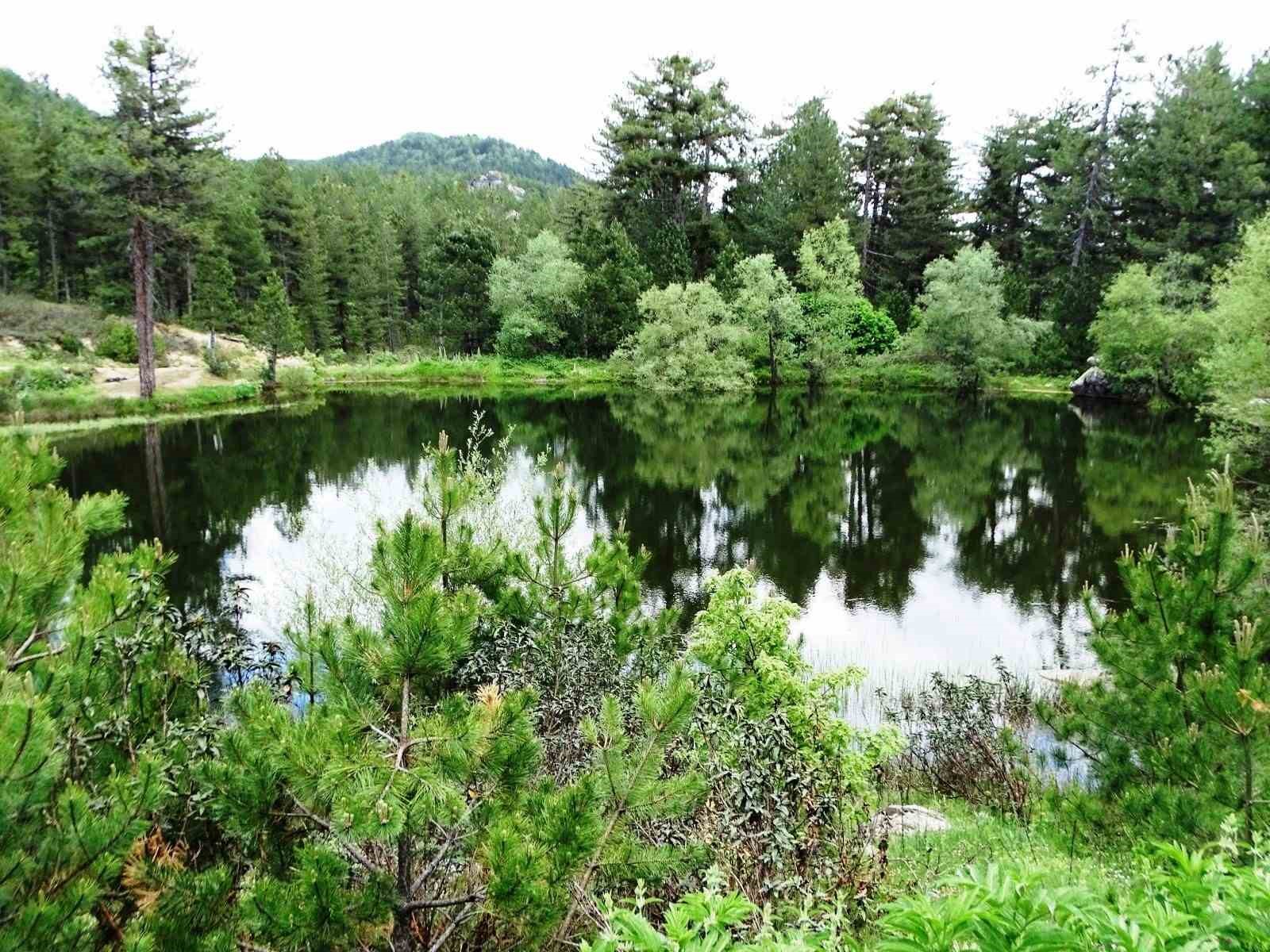 Hisarcık’ta doğal gölette büyüleyici bahar manzarası