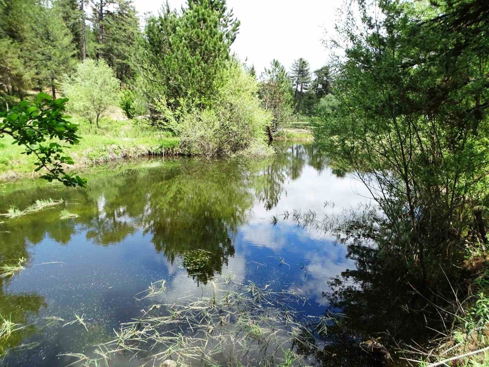 Hisarcık&rsquo;ta doğal g&ouml;lette b&uuml;y&uuml;leyici bahar manzarası
