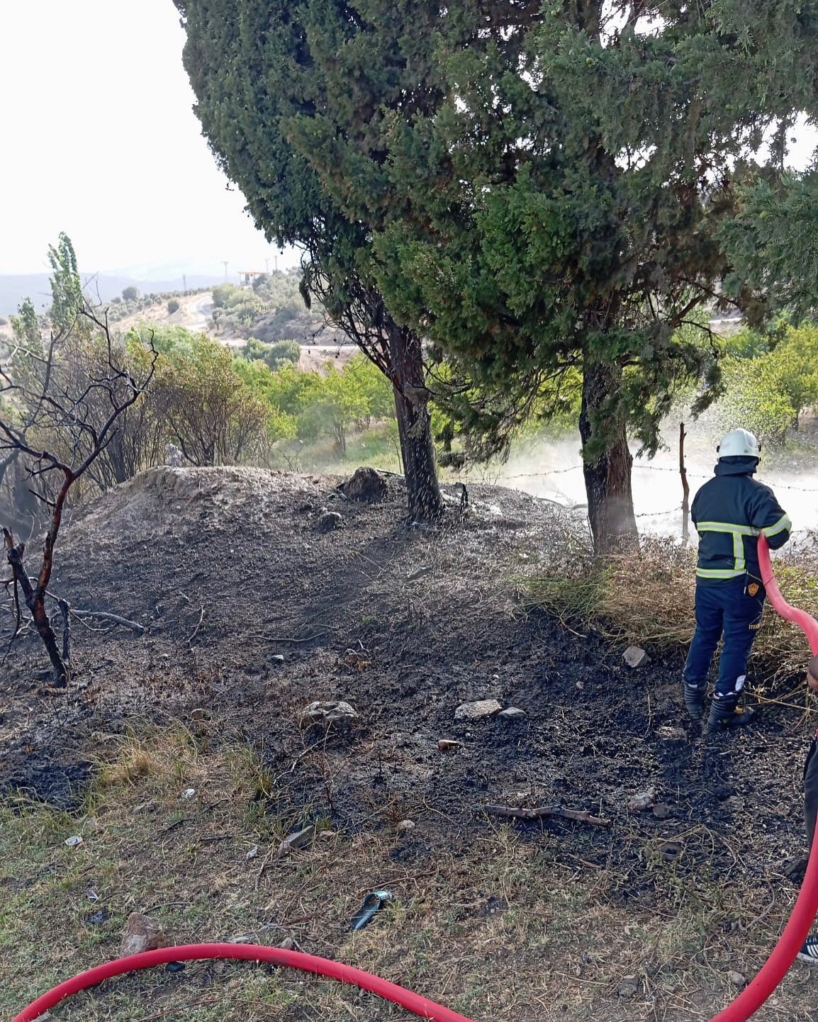 Alevlerin arasında kalan kaplumbağaya can suyu

