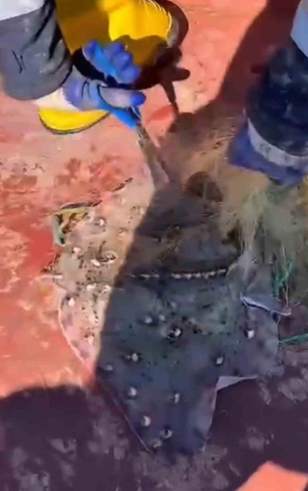 Kırklareli’nde 44 bin metre kaçak ağ toplandı