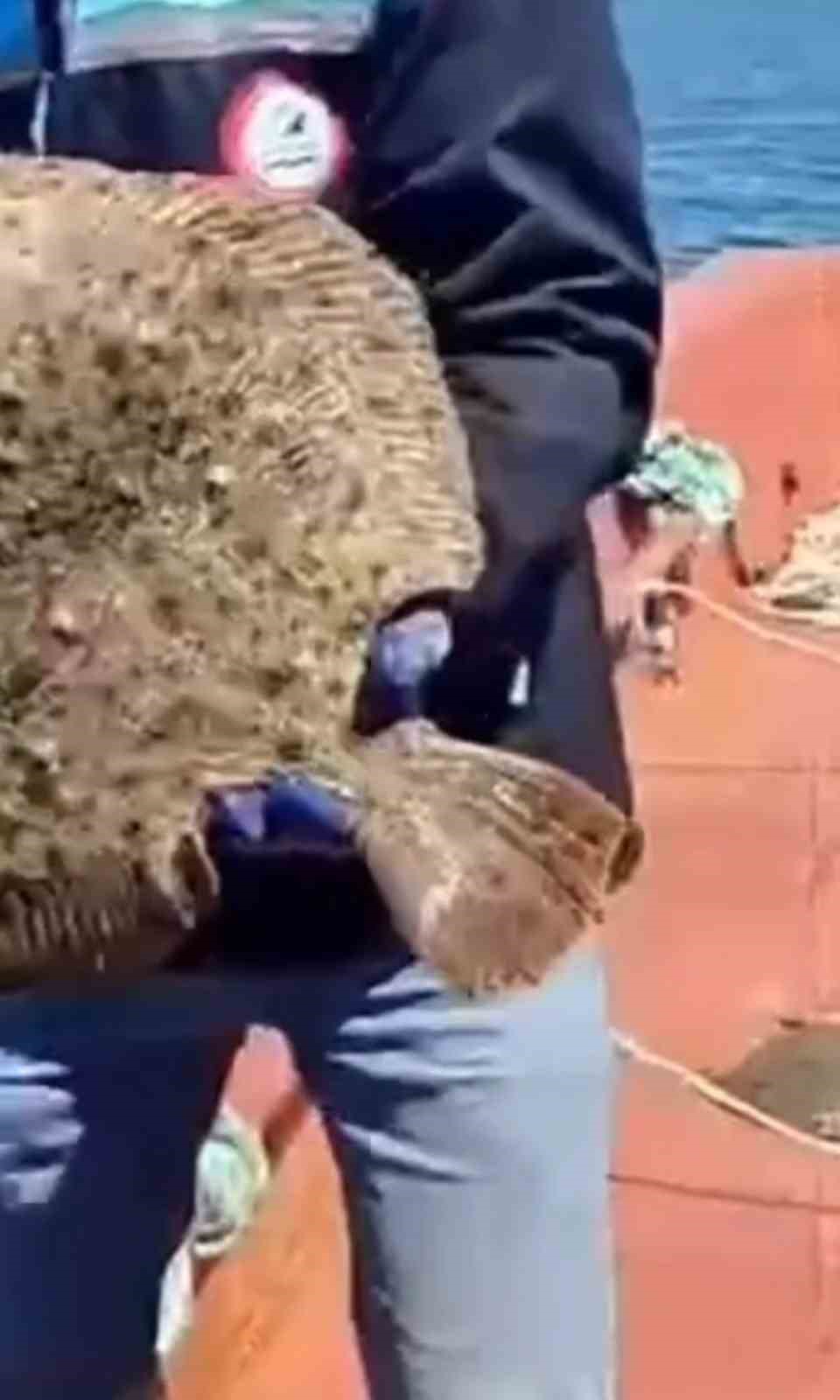 Kırklareli’nde 44 bin metre kaçak ağ toplandı