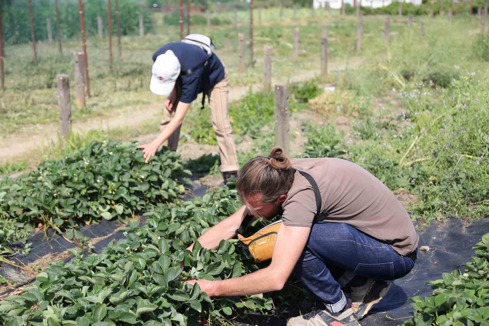 Fransa’dan gelip Nilüfer’in sağlıklı gıda politikalarını incelediler