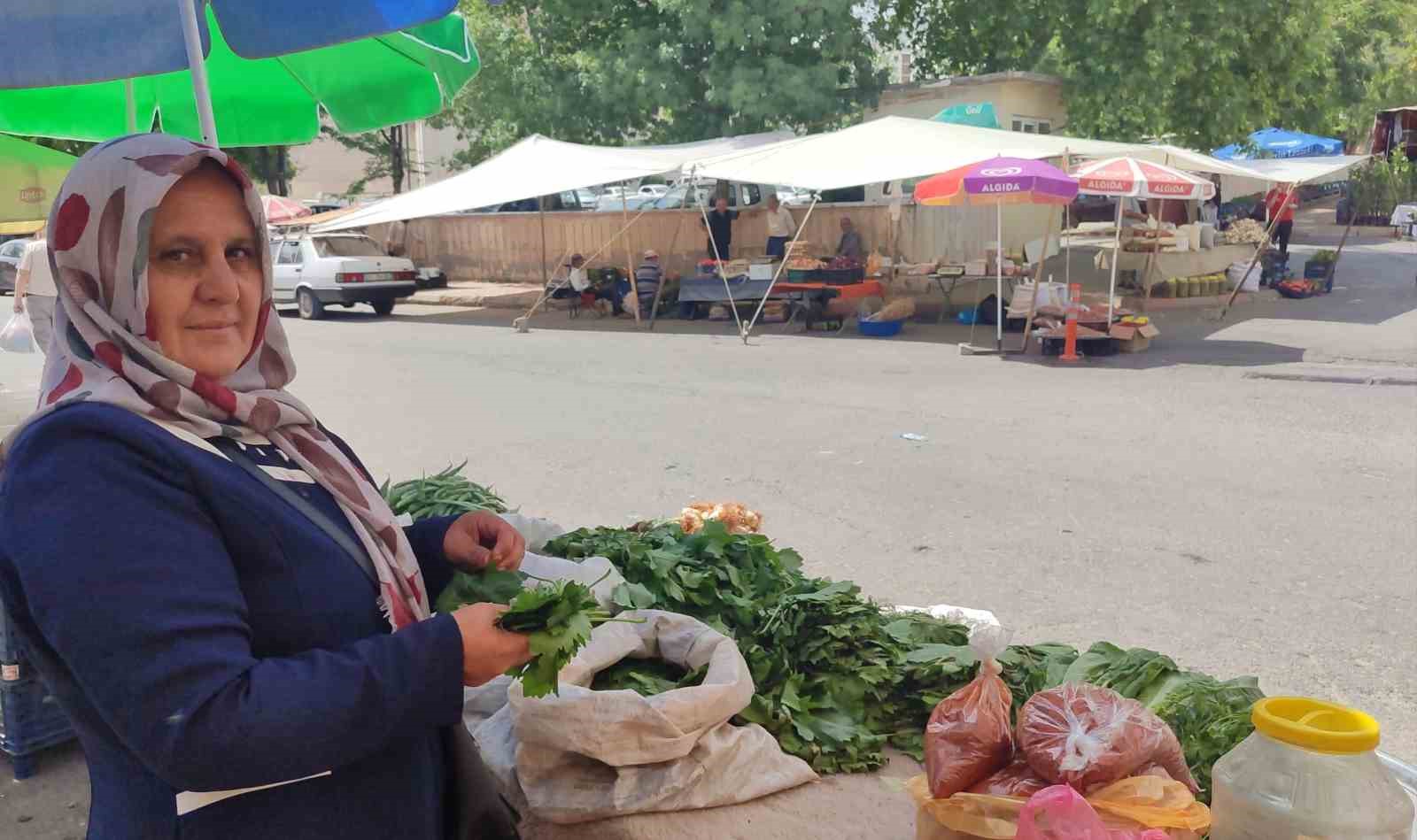 5 &ccedil;ocuk annesi, asma yaprağı satarak aile ekonomisine destek oluyor
