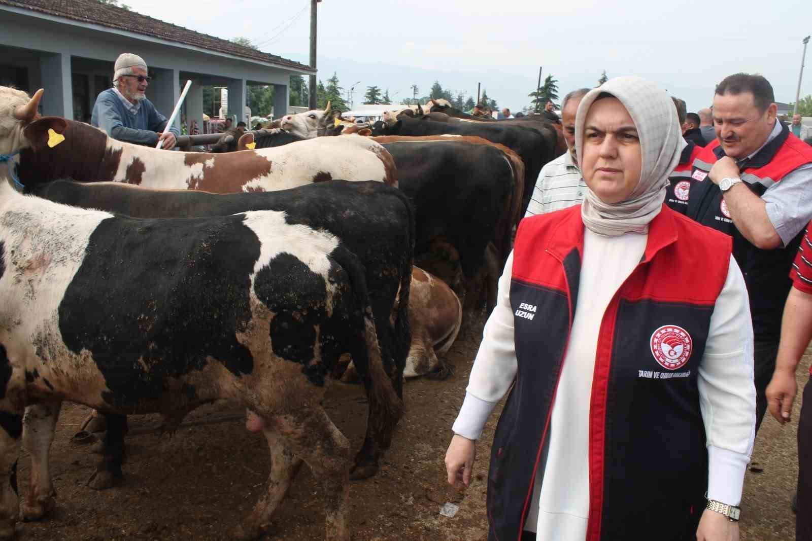 Düzce’de Kurban Bayramı öncesi sıkı denetim