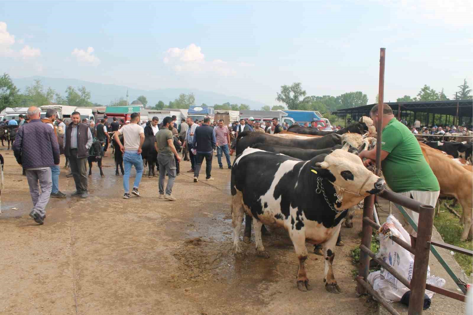 D&uuml;zce&rsquo;de Kurban Bayramı &ouml;ncesi sıkı denetim
