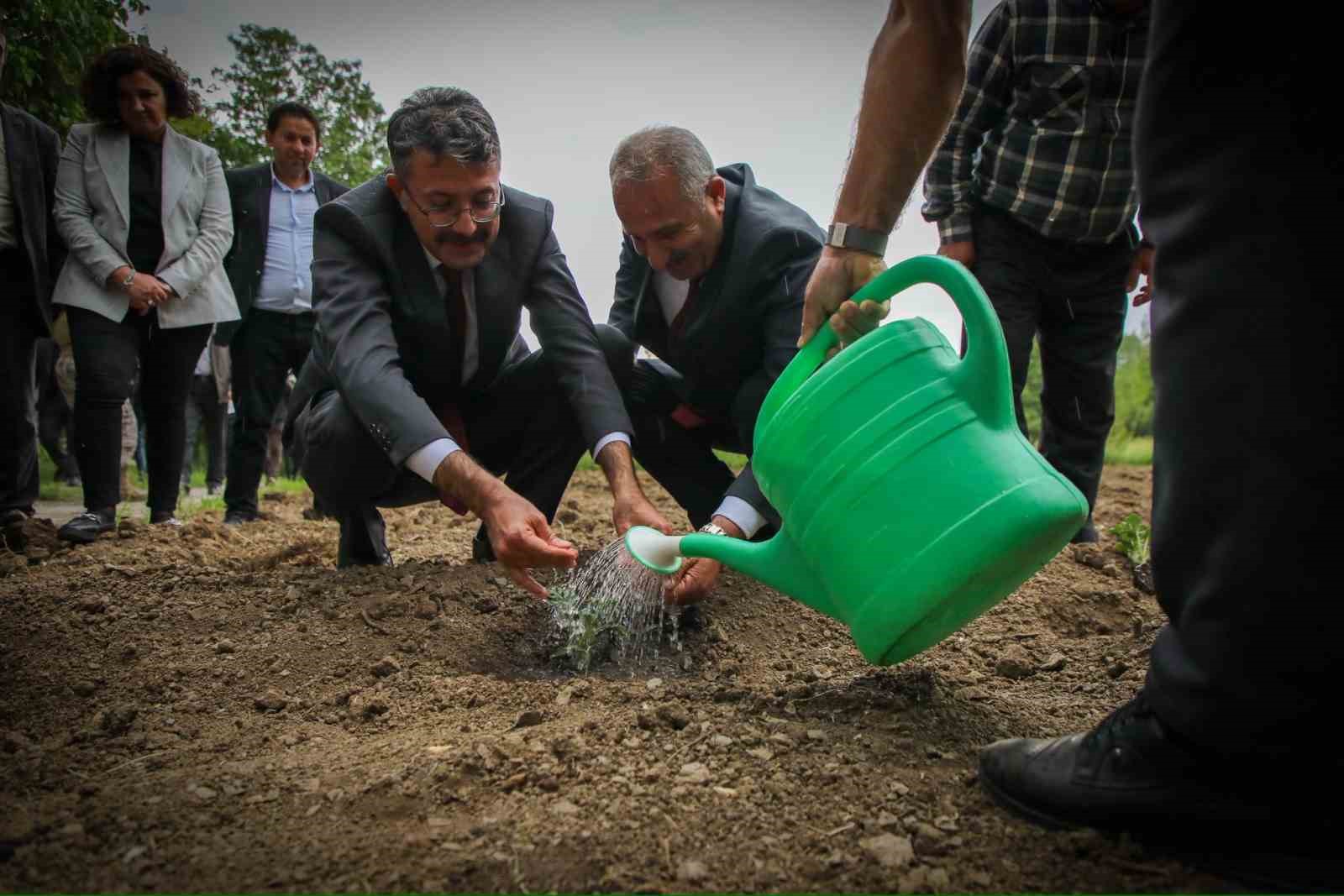 Vali Ali Çelik: "Bu toprakları birlikte yeşerteceğiz"