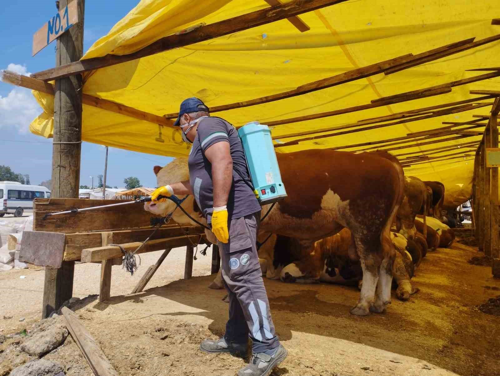 Bursa&rsquo;da sinekle m&uuml;cadele t&uuml;m hızıyla s&uuml;r&uuml;yor
