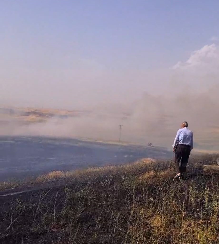 Batman’da 60 dönüm biçilmemiş buğday kül oldu